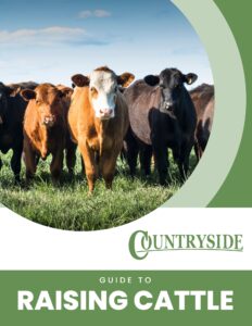 Cattle Guide